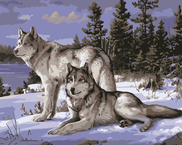 Kaksi sutta talvisessa maisemassa järven rannalla